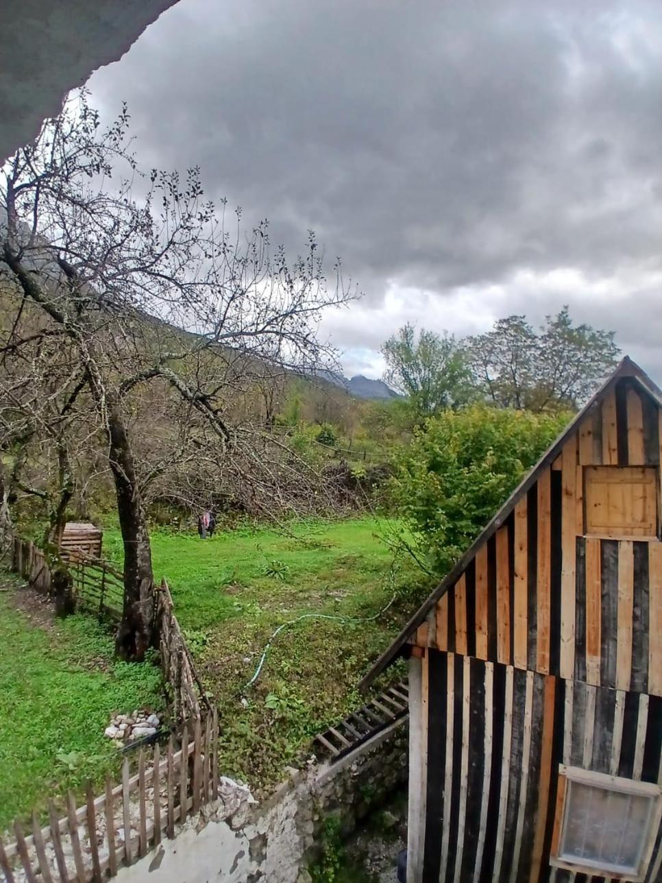 Bed and Breakfast Bujtina Milani à Shkodër Extérieur photo