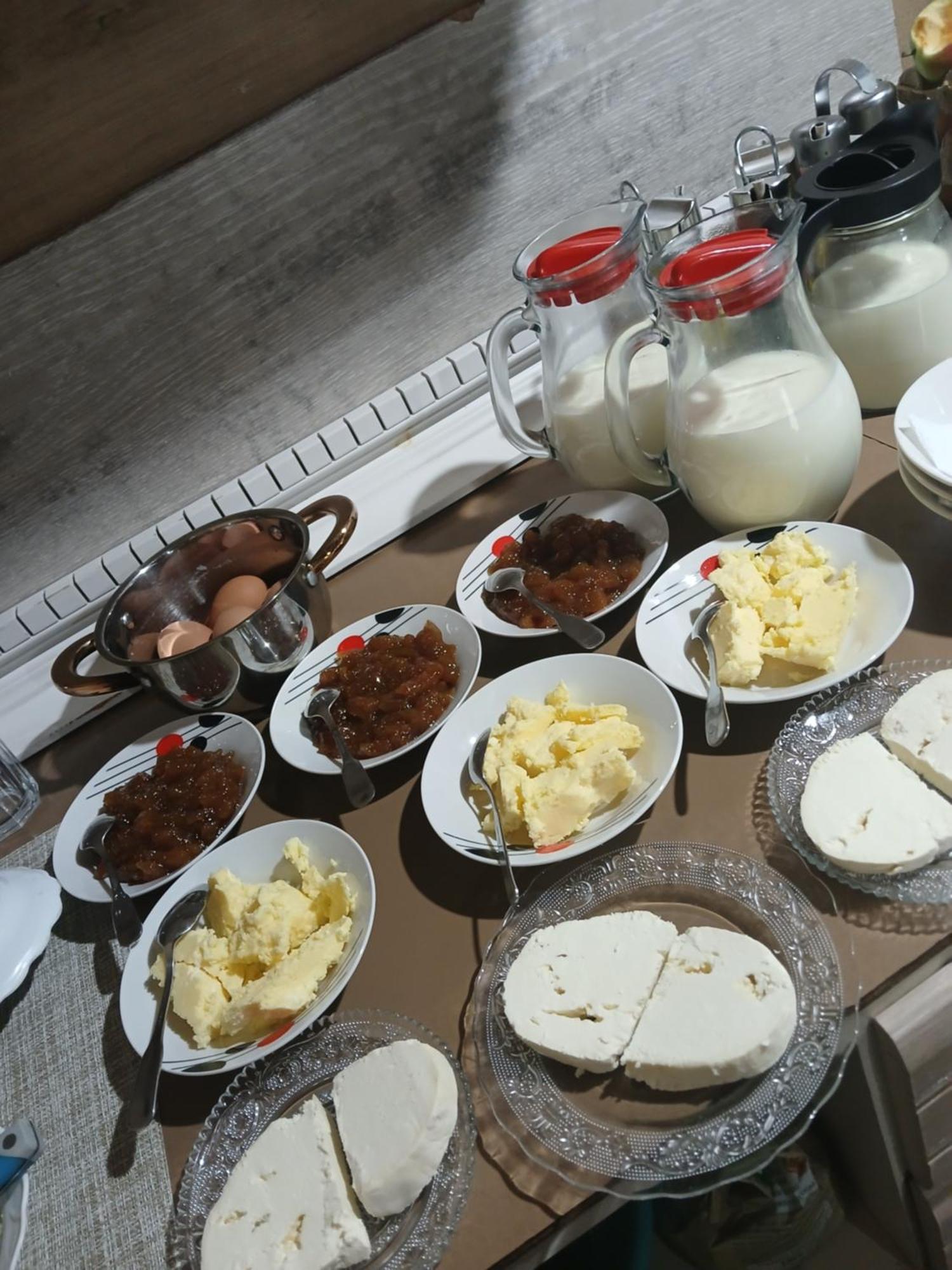 Bed and Breakfast Bujtina Milani à Shkodër Extérieur photo